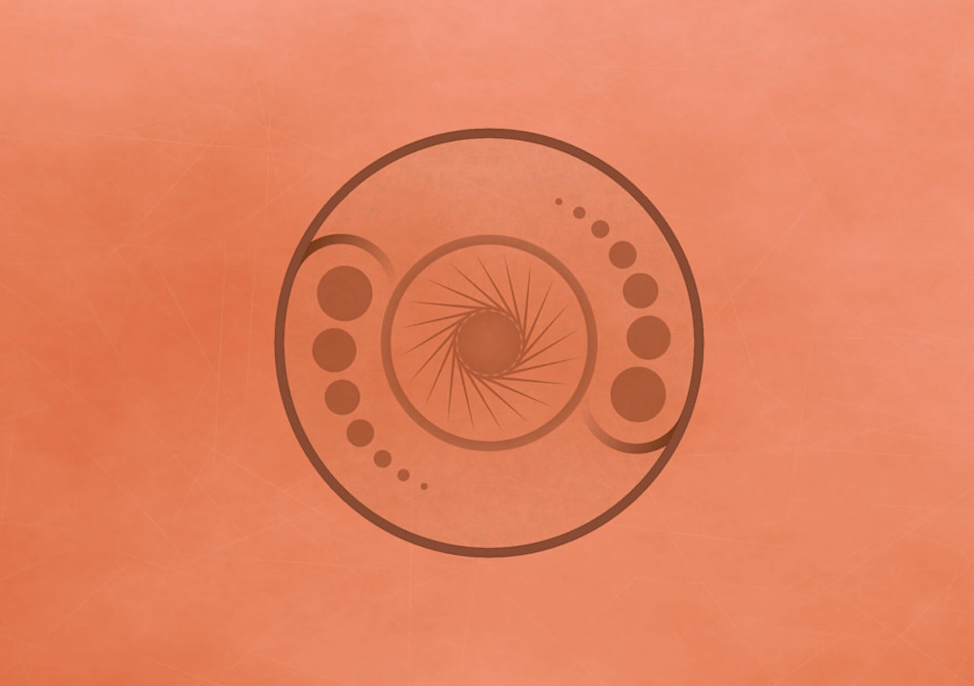 Изображение: John Baer. Источник: Flickr.com 